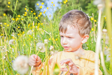A curious little boy bends down to explore vibrant wildflowers along a path, capturing the innocence of childhood and connection to nature's beauty and diversity