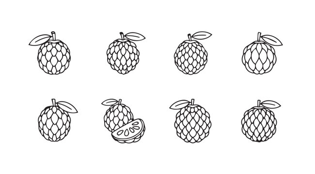 Hand drawn custard apple fruit collection isolated sketch style design elements vector
