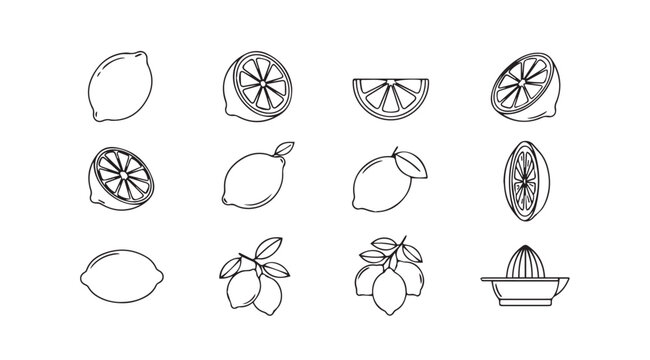 Fresh ripe lemons and citrus fruits hand drawn sketch line art collection vector