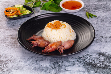 Tasty baby swuid with rice