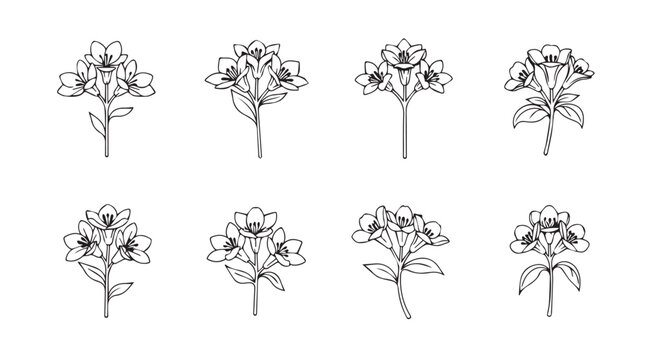 Collection of delicate hand-drawn hydrangea flower bouquets for artistic floral designs vector