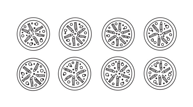 Collection of eight delicious pizza slices hand drawn sketch style for food photography and design vector