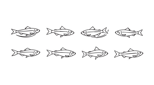 Eight hand drawn sketch style fish illustrations in a collection for aquatic art and design vector