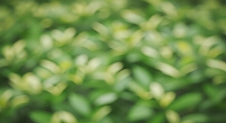 Fototapeta premium Soft focus image of a lush green plant with vibrant leaves, creating a natural bokeh effect