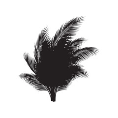Tropical Palm Leaves Cluster Silhouettes, Black Vector, Beach Eco Design, Summer Exotic Foliage