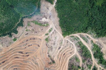 Stunning aerial view captures a winding country road dividing lush green forest from arid brown landscape