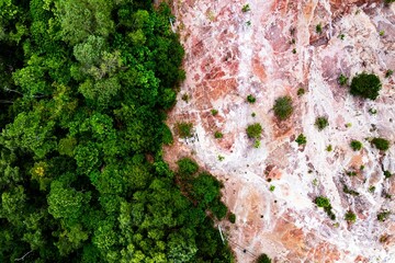 Stunning aerial view captures a winding country road dividing lush green forest from arid brown landscape