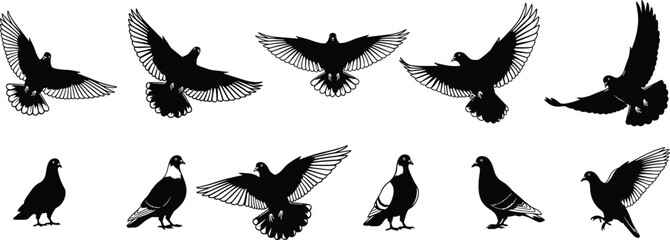 Flying Birds Silhouettes Vector Set: Flock of Seabirds, Gulls, and Doves in Flight for Nature, Freedom, and Travel Design