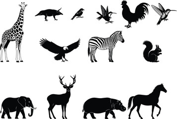 Flying Pigeon Silhouettes Vector Set Doves in Flight, Standing Birds, and Peace Symbols for Nature and Wildlife Design