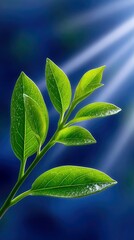 Fototapeta premium Green Leaves Illuminated by Sunlight on Blue Background