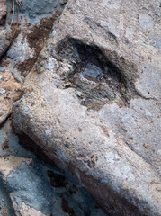 Stone&rsquo;s Inner Vision.