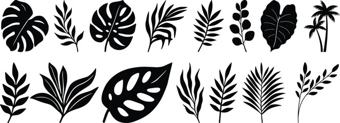 Tropical leaves vector. Set of palm leaves silhouettes isolated on white background. vector set of tropical leaves with a simple silhouette style.Collection of black silhouette tropical leaves 