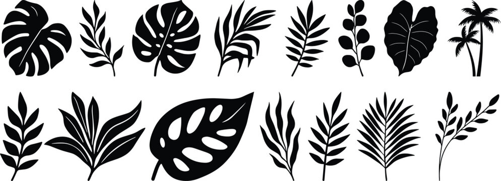Tropical leaves vector. Set of palm leaves silhouettes isolated on white background. vector set of tropical leaves with a simple silhouette style.Collection of black silhouette tropical leaves 