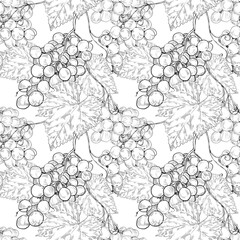 Grape. Seamless botanical pattern with grape vine branches with leaves and berries on a white background. Hand drawn illustration. Template for kitchen design, food packaging, textiles, interior