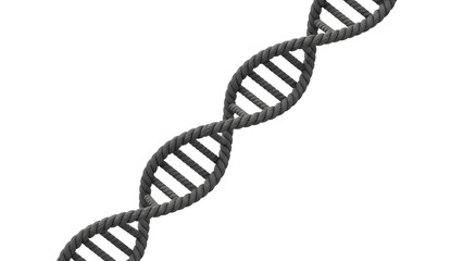 Abstract representation of a dna double helix structure on a white background