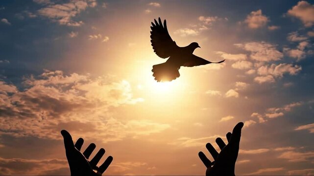 Silhouette of hands releasing a dove against a radiant sunset sky, symbolizing freedom, peace, and hope.
