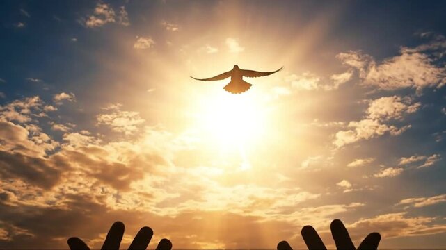 Freedom and Hope: Hands reaching for a dove flying into a bright, spiritual sunlit sky