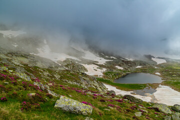 Beautiful mountain landscape, pristine glacier lakes, rocks and spring flowers in the Transylvanian Alps in early July
