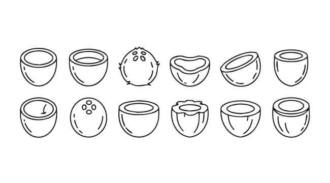Collection of hand drawn coconut illustrations in various styles and stages of preparation vector