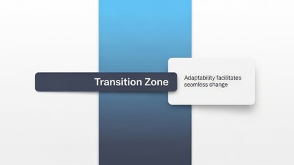 Transition Zone for Adaptability and Seamless Change