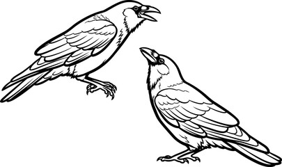 Obraz premium echoes of wisdom a ravens call in stark graphic form, isolated on transparent background