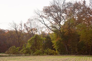 兵庫県・神戸市西部の農地耕作条件改善事業