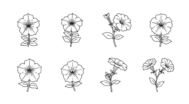 Collection of hand drawn sketchy petunia flowers in various angles botanical art style vector