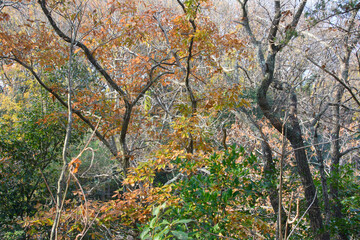 兵庫県・日本で一番ため池の多い県