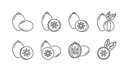 Hand drawn line art collection of fresh fruits sketches isolated food elements vector