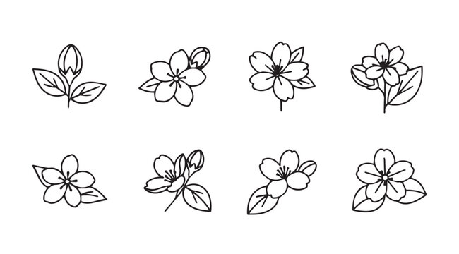 Collection of delicate hand-drawn cherry blossom flowers and buds sketches isolated vector