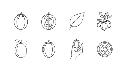 Hand drawn organic fruit and leaf icons set collection simple sketch botanical nature elements vector