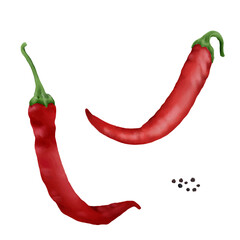 Hot chili peppers, garlic, and parsley. Watercolor digital illustration. Spicy vegetables, red pepper pods, isolated on a background. Suitable for recipes, menus, cookbooks, and farmers' market banner