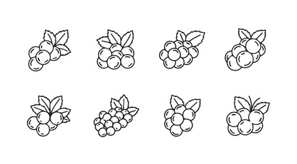Hand-drawn cluster of grapes with leaves isolated fresh fruit sketch botanical element vector