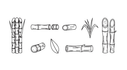 Hand-drawn bamboo stalks and leaves set elegant botanical line art elements for design vector © iconworld