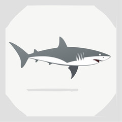 A stylized illustration of a great white shark swimming