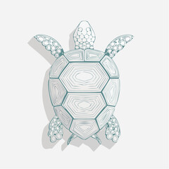Obraz premium Detailed sketch of a sea turtle on a simple background