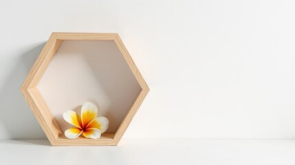 Simple hexagonal wooden shelf with a single blossom resting inside against a white wall