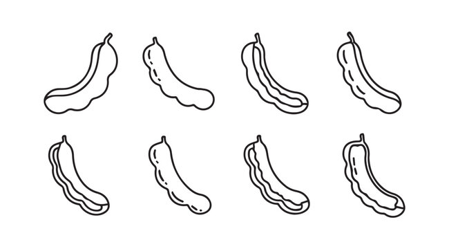 Hand drawn set of tamarind pods diverse shapes organic fruit sketch isolated on white vector