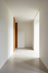A Minimalist Interior Corridor Featuring a Single Wooden Door and Sunlight Streaming Through an Adjacent Opening