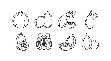 Whimsical line art collection of diverse tropical fruits for culinary and design applications vector