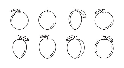 Hand drawn fresh fruits collection featuring oranges mangoes and peaches sketch art vector