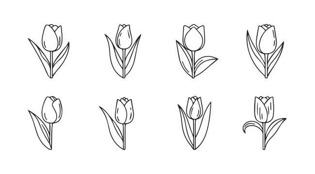 Set of sketchy tulip flower outlines hand drawn floral elements for spring and summer designs vector