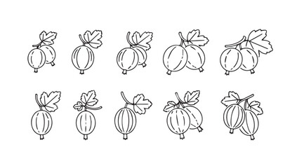Hand drawn sketch collection of fresh ripe gooseberries with green leaves for natural design elements vector