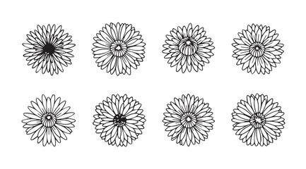 Collection of detailed black and white floral designs for artistic projects and decorations vector