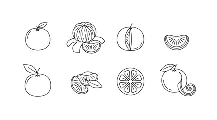 Hand drawn line art citrus fruit elements whole and sliced oranges tangerines and mandarins vector