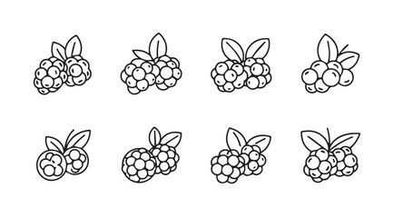 Set of hand-drawn sketchy berries featuring raspberries and blueberries with leaves vector