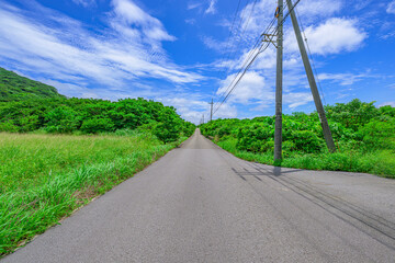  真っすぐに続く道と青空が広がる石垣島の夏の風景