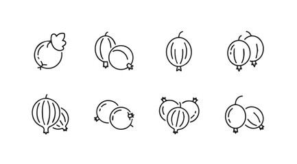 Collection of simple line art gooseberry icons hand drawn style for food and health designs vector