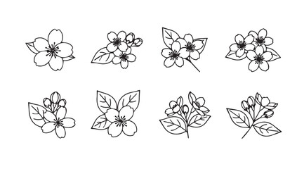 Hand drawn delicate floral elements apple blossom and berries sketch collection for design vector