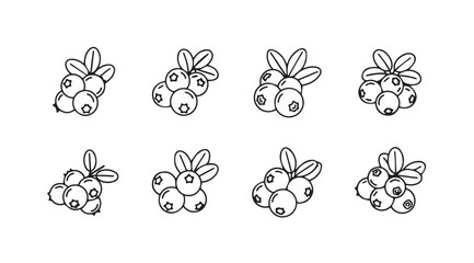 Hand drawn blueberry sprigs featuring leaves and berries realistic sketch style vector